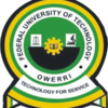 Requirements To Study Petroleum Engineering In FUTO